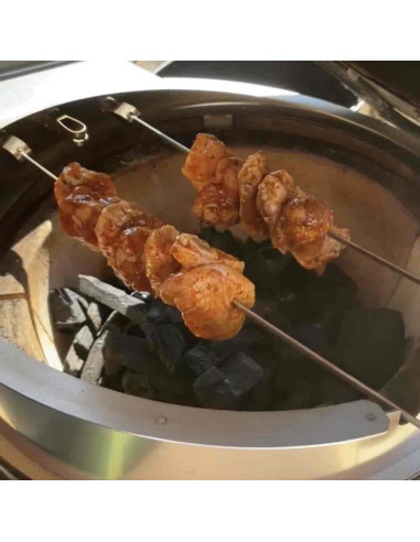 Rôtissoire pour Kamado Icon et Junior 2.0 - Monolith